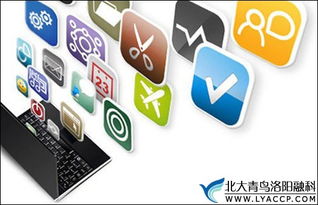 軟件開發就業前景與薪資待遇分析