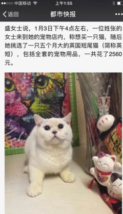 一紙協(xié)議與一段生命 寵物棄養(yǎng)背后的責任缺失與消費反思