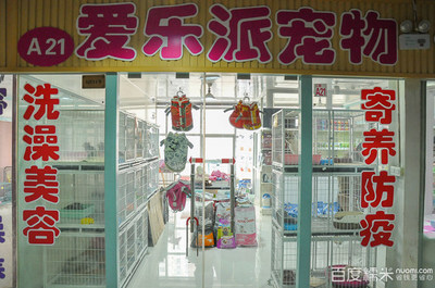 愛樂派寵物生活館 專業貓洗澡體驗與糯米寵物用品銷售指南